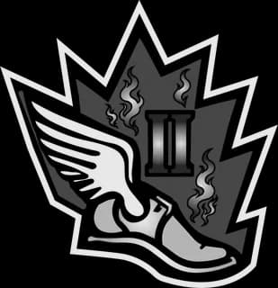 Level 2 badge